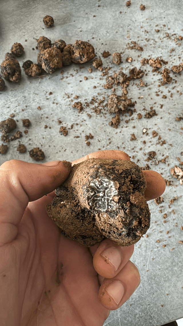 Truffe Noire. 200g